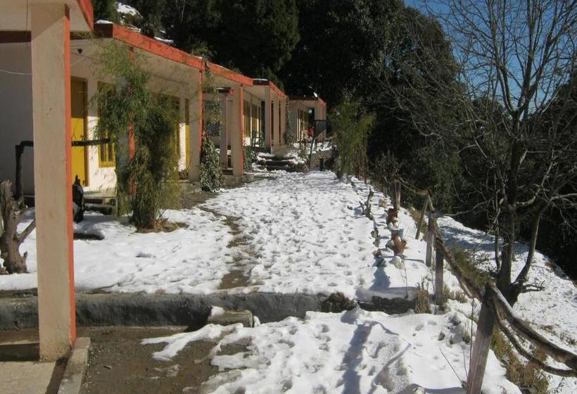 Janardan Resort Pangot Nainital 8