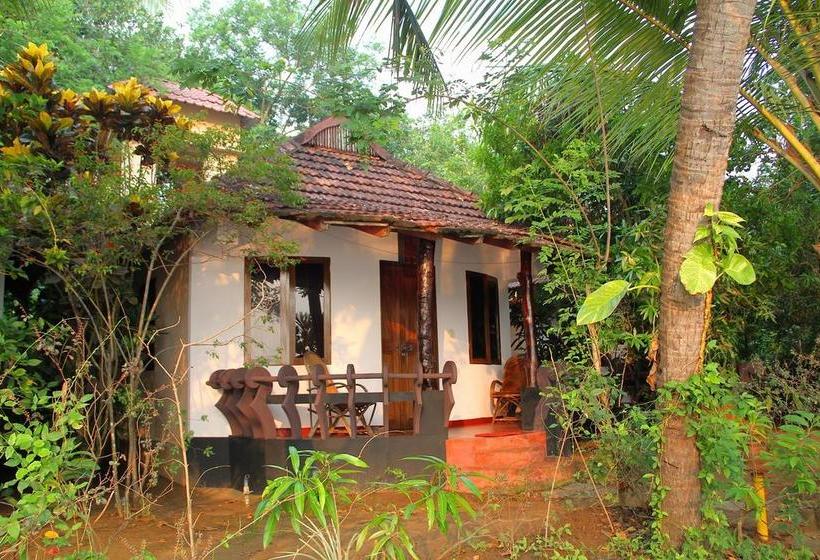 Resort Big Banana Island Retreat 6