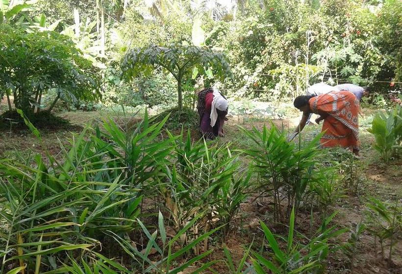 Resort Big Banana Island Retreat 9