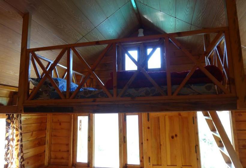 Camp Mehi Nature Resort 2