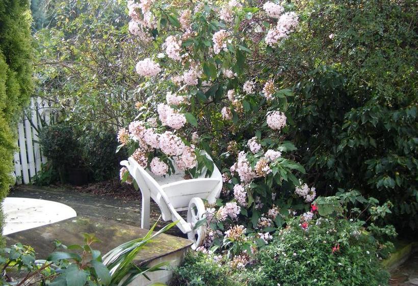 Country Lane Homestay B&b 5