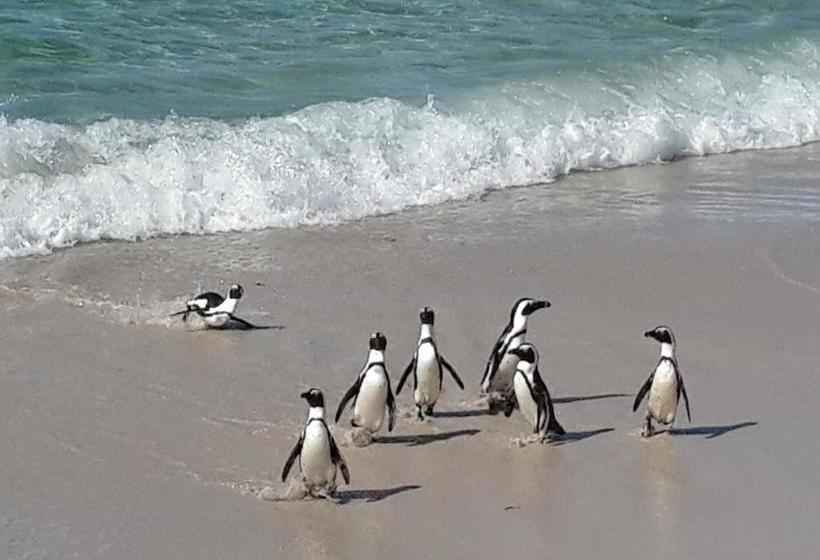 Hotel 7 On Disa Selfcatering Accommodation 17