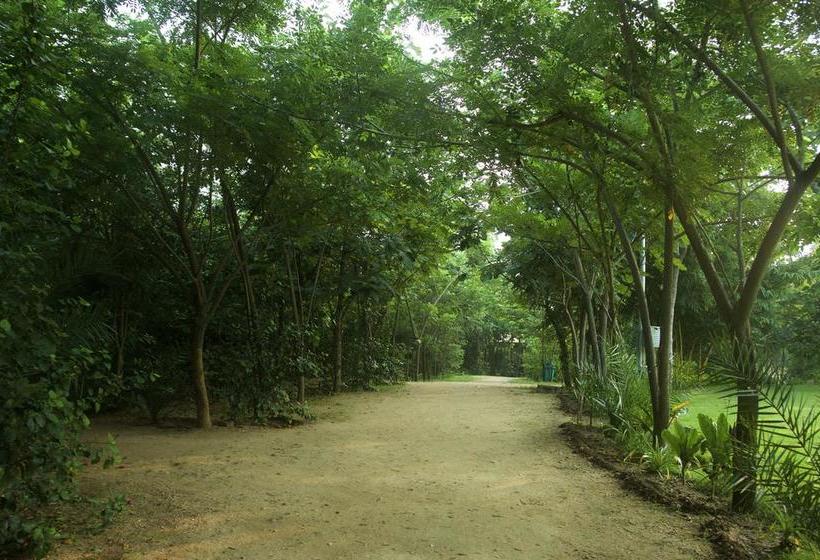 Resort The Riverwood Forest Retreat Pench 3