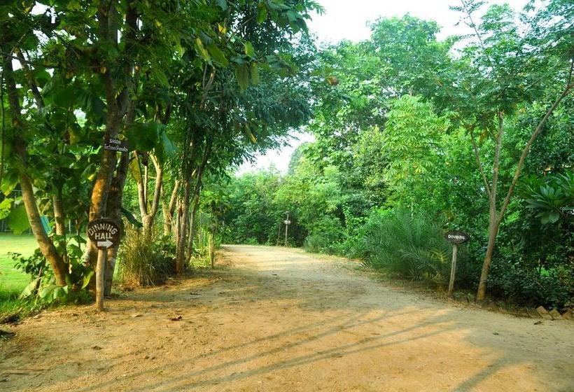 Resort The Riverwood Forest Retreat Pench 4