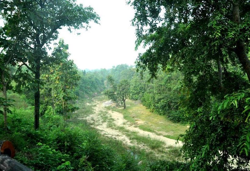 Resort The Riverwood Forest Retreat Pench 5