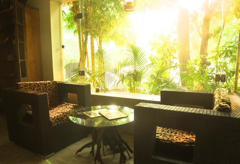 Resort The Riverwood Forest Retreat Pench 6