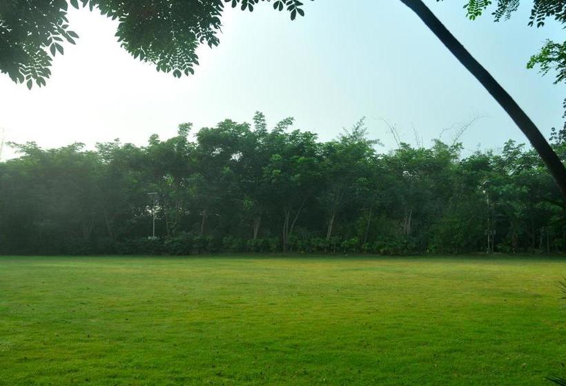 Resort The Riverwood Forest Retreat Pench 8