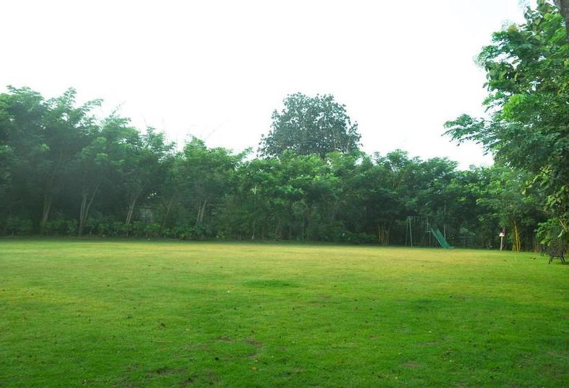 Resort The Riverwood Forest Retreat Pench 9