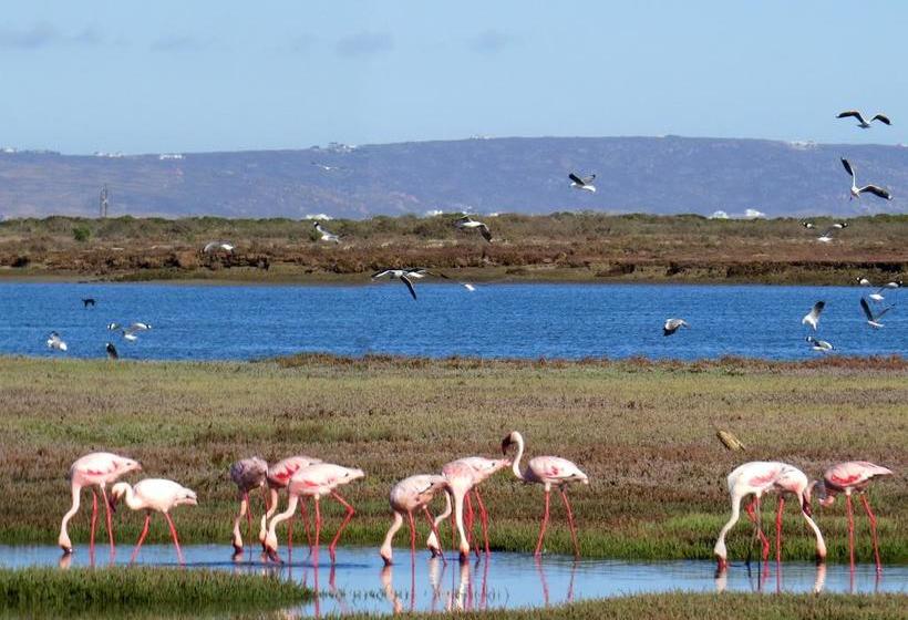 Hotel Flaminkevlei Waterfront 3