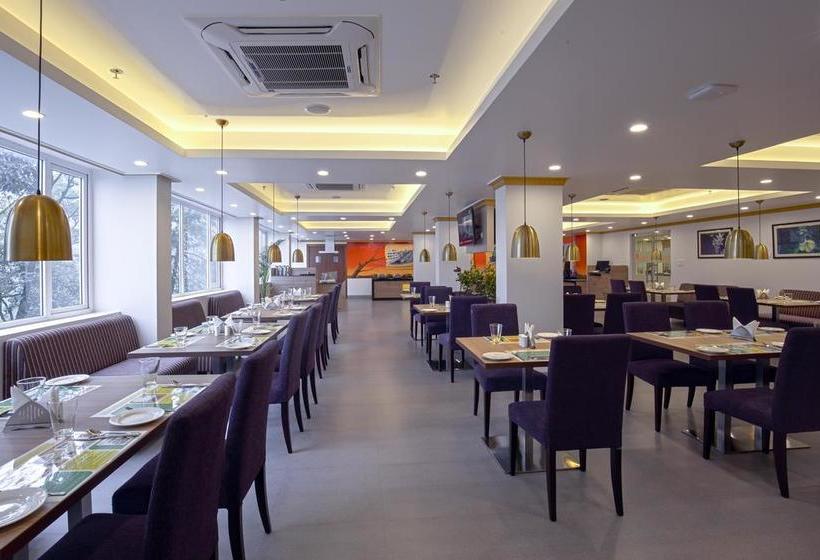 Lemon Tree Hotel Gangtok 14