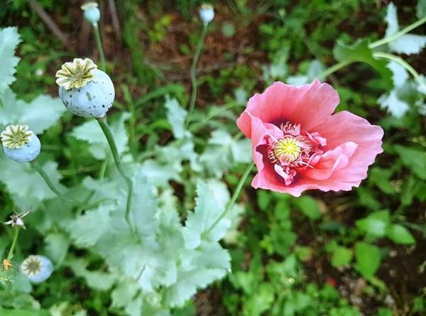 Hotel Hessie Se Witperd 3