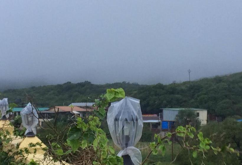 Resort The Royal Oak 1