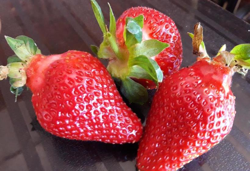 Resort The Royal Oak 15