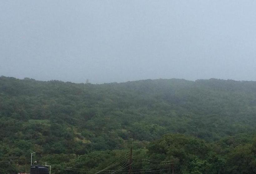 Resort The Royal Oak 2