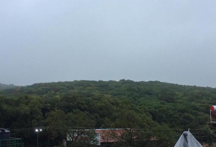 Resort The Royal Oak 3