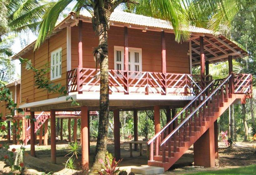 Hotel Tranquil Retreat For Those Looking To Destress By Guesthouser Kushalnagara