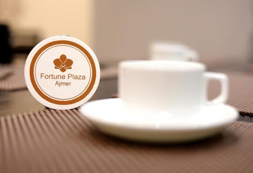 Hotel Fortune Plaza 13