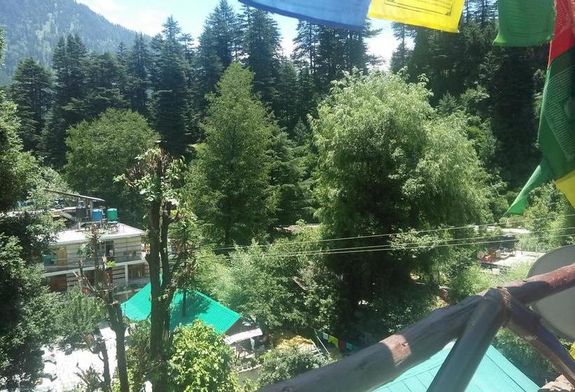 Hotel Cafe Gravity And Lodge 4