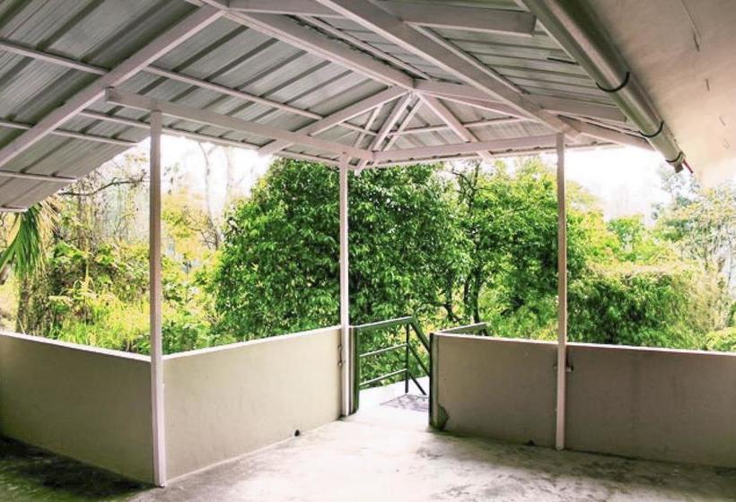 Hotel Restful Homestay With A Lush Green Garden By Guesthouser 19