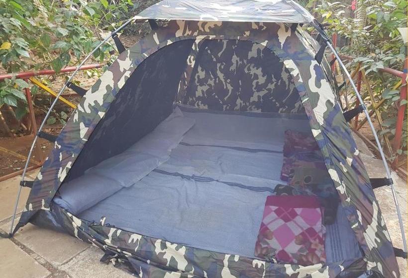 Resort Dishas Dhaba 2