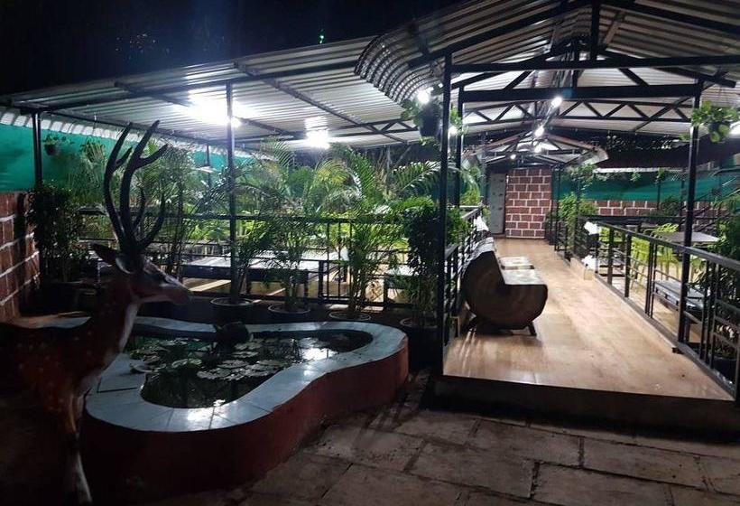 Resort Dishas Dhaba 5