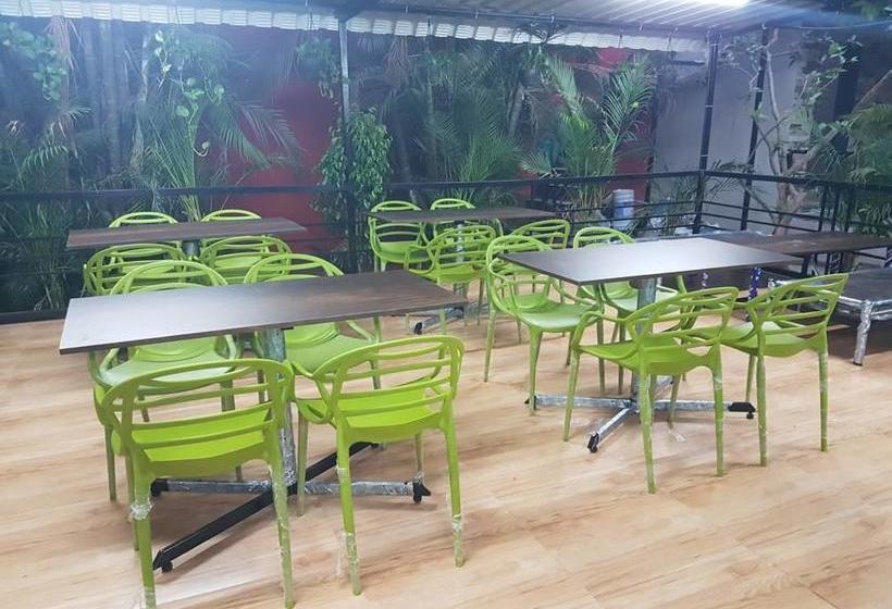 Resort Dishas Dhaba 7