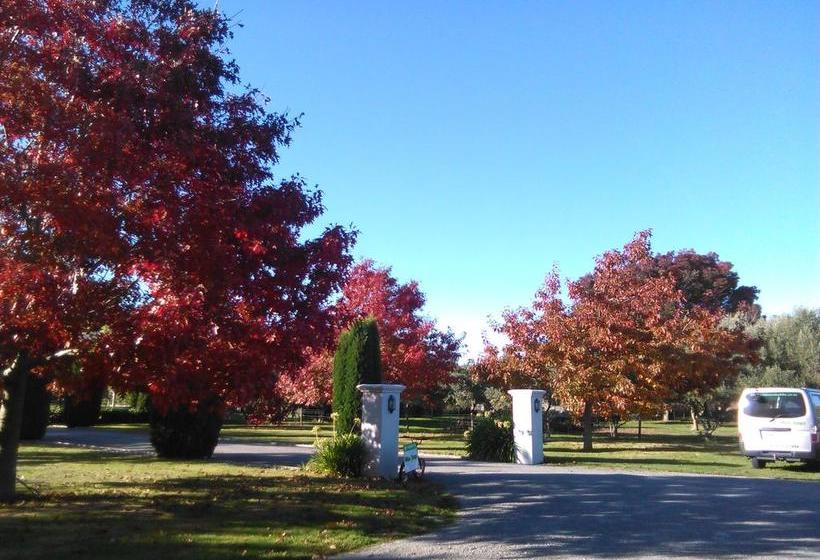 Hillsfield House Bed & Breakfast Marlborough 13