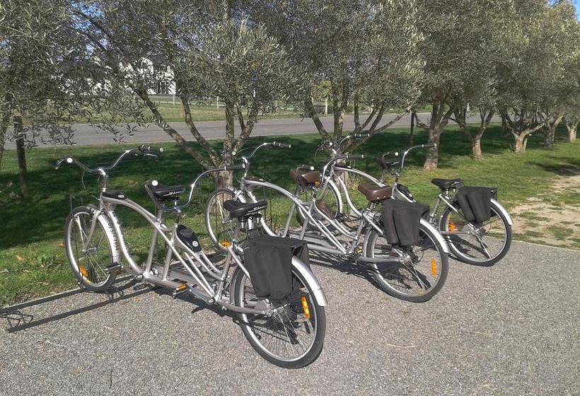 Hillsfield House Bed & Breakfast Marlborough 18