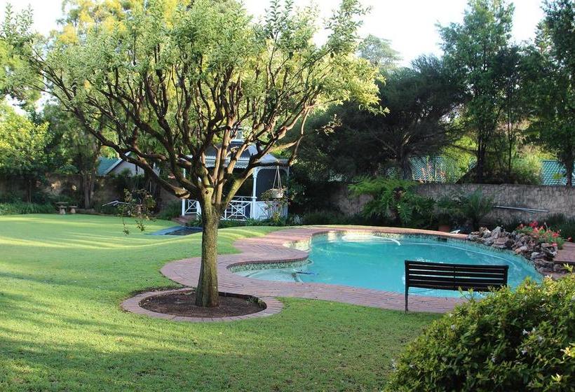 Bed and Breakfast 49oncherry 3