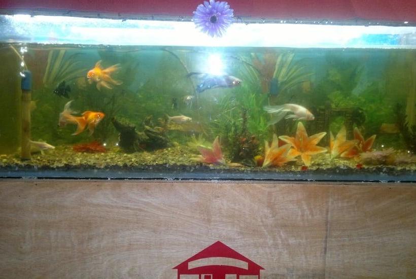 Hotel Jai Hind Jalpan 10