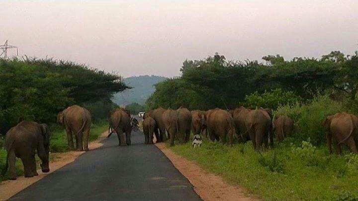 Resort Kerala For Rest Inn 4