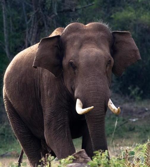 Resort Kerala For Rest Inn 6