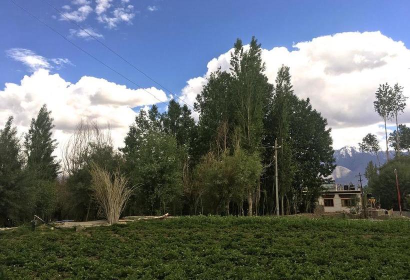 Raybo Hostel & Rooms 2