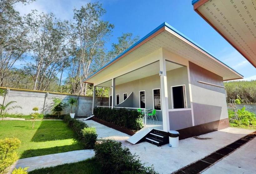 At Night Airport Resort 15