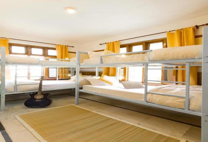 Hostel Zostel Dalhousie 11