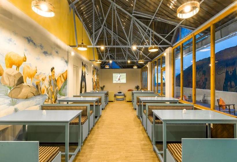 Hostel Zostel Dalhousie 9