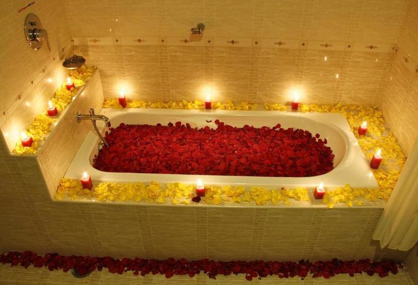 Hotel Dsf Grand Plazas Pvt Ltd 16