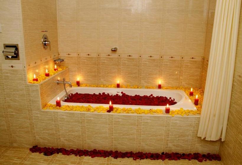 Hotel Dsf Grand Plazas Pvt Ltd 17