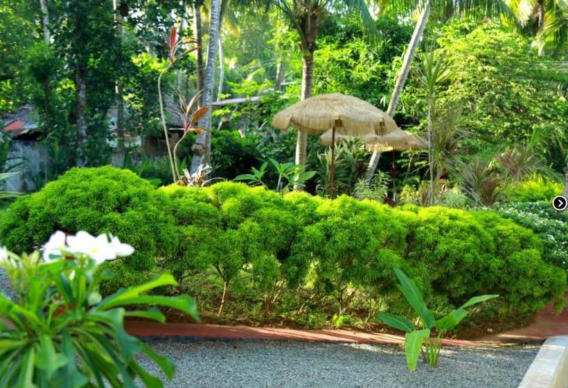 Hotel Laksmi House Ayurveda & Spa 15