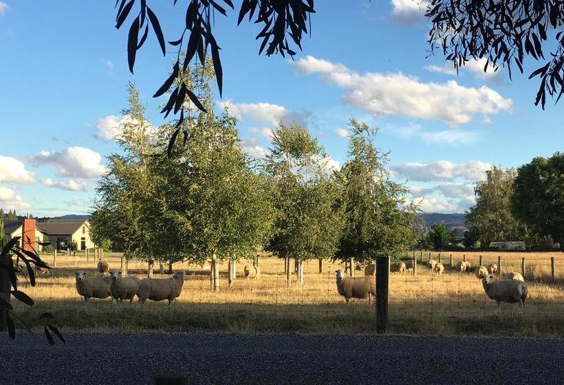 Bed and Breakfast Rockview B And B Alexandra South Island