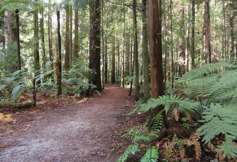 Bed and Breakfast Silvereye Retreat 3
