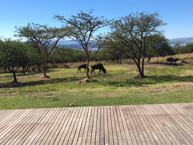 Bed and Breakfast Khaya Nyoni 11