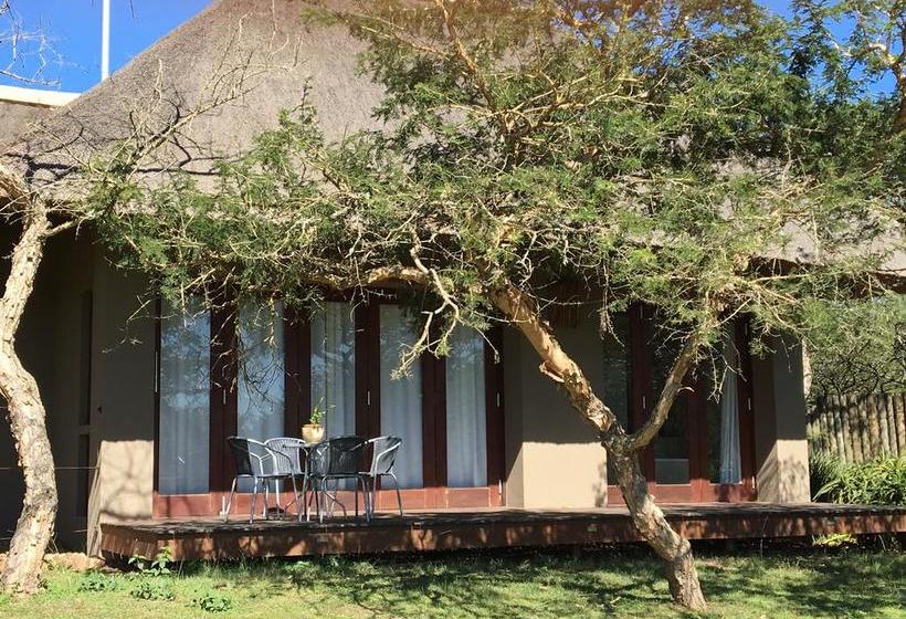 Bed and Breakfast Khaya Nyoni 6