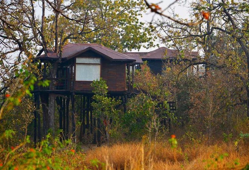 Resort Pench Tree Lodge Khawasa Madhya Pradesh