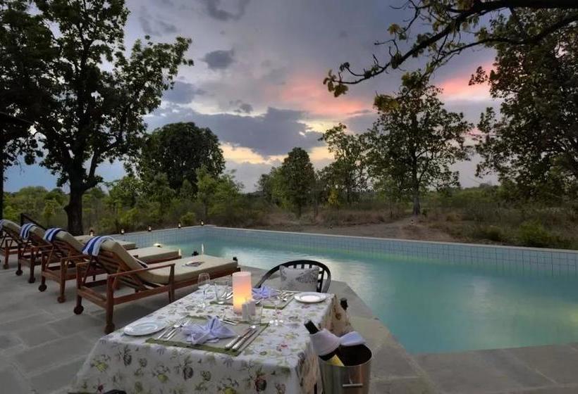 Resort Pench Tree Lodge 14