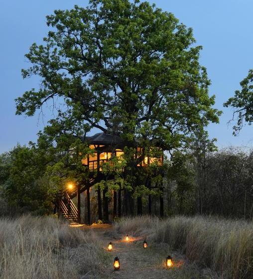 Resort Pench Tree Lodge 17