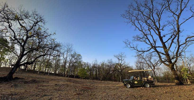 Resort Pench Tree Lodge 2