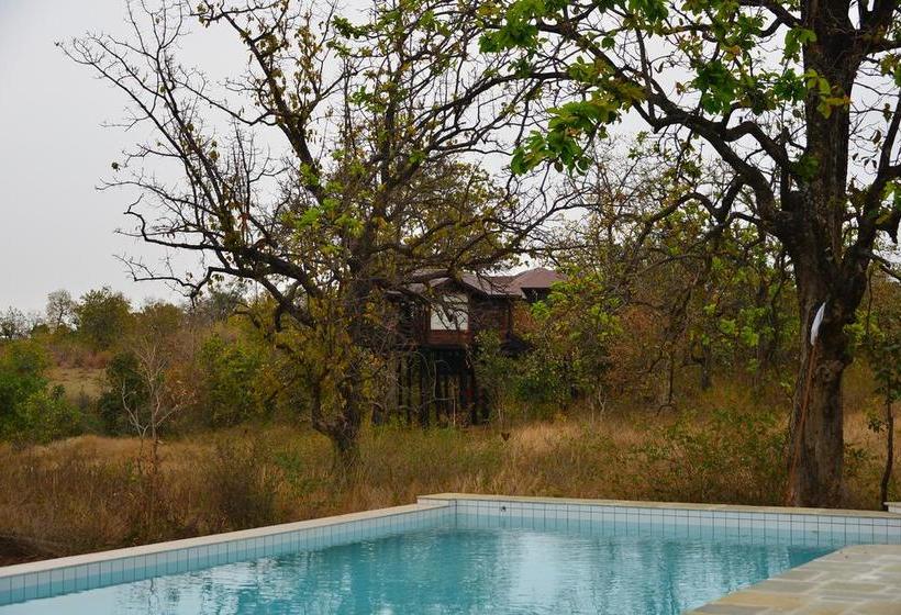 Resort Pench Tree Lodge 6
