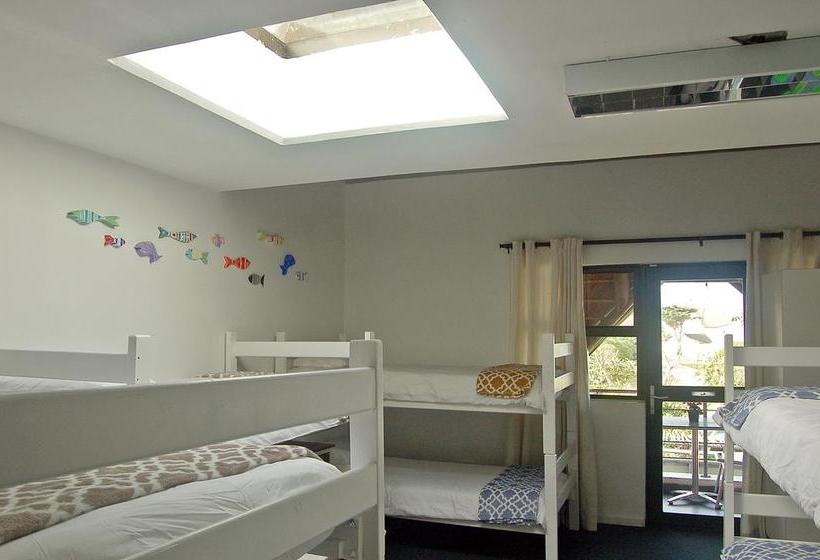 Hostel St Francis Bay Backpackers 6