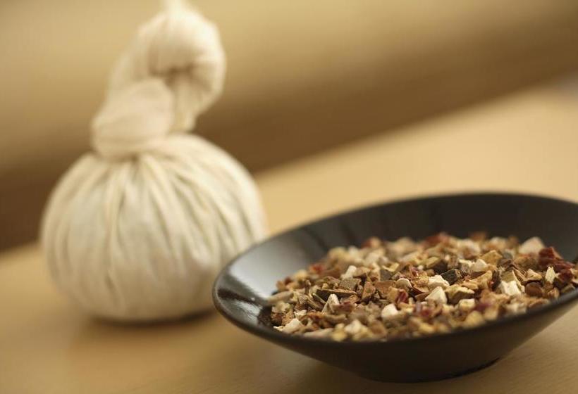 Hotel Hyatt Regency Lucknow 15